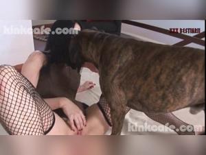 Brunettes Devoted to Canine Obscenity