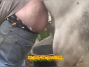 Bestiality sex videos with a stallion