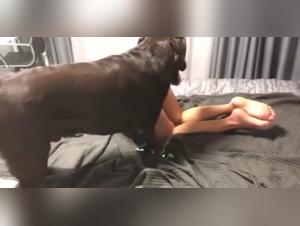 The Extreme Experience of the Blonde Girl