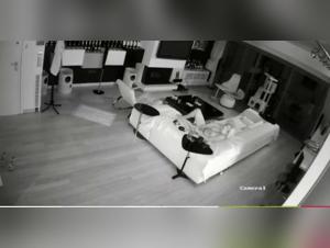 Hard Bestiality Scene with an Amateur Wife