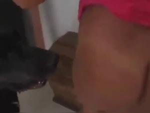 Femme et Son Compagnon Canin : Une Rencontre Interdite