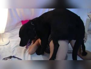 The Bestiality Nightmare: Lise Surrenders to Her Primal Desires