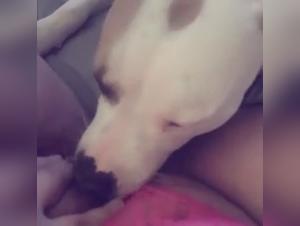 Check out a shocking and exciting bestiality video