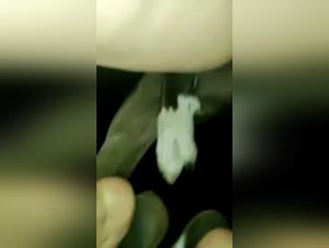 A Shocking Display of Bestiality and Loyalty