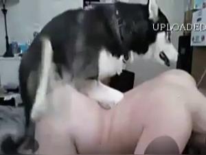 Scopate con animali selvaggi e orgasmi incontrollabili