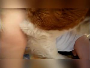 Écoutez maintenant les meilleurs pornos zoophile et animal sex et regardez le porno avec une femme ou un homme en même temps.