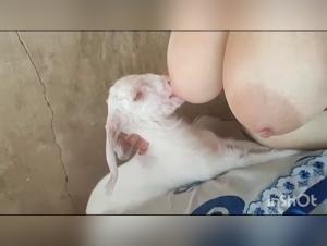 Teste piene, corpi divorati: l'ossessione del cane