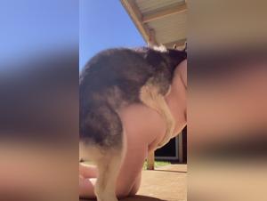 Amateur-Sexvideos mit Hunden: Erleben Sie das Verbotene