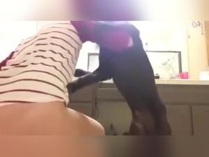 Extreme Bestiality Video