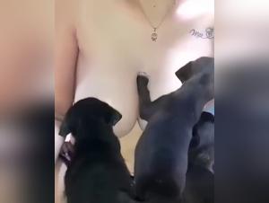 Z Tube sexy und Tiere, das Video darf man nicht verpassen