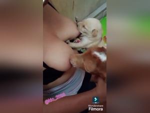 Sottomissione degli animali, piacere e limiti degradanti senza limiti