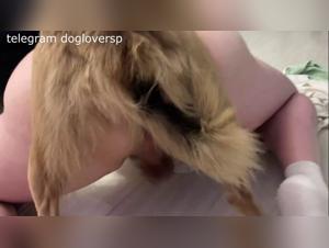 soumission, désir et animalité brute