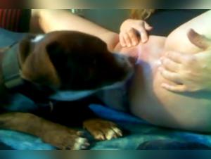 Discover the Ecstasy of Zoophilia