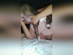 jugendliche Lust, unterwurfiger Hund