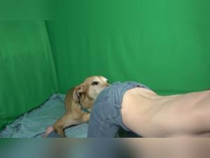 Extreme Bestiality Scenes