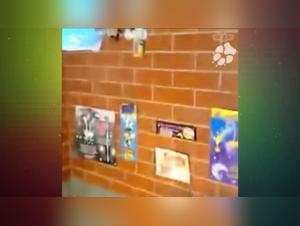 Discover the Ecstasy of Zoophilia