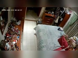 Hidden video: a woman and a dog in a forbidden relationship