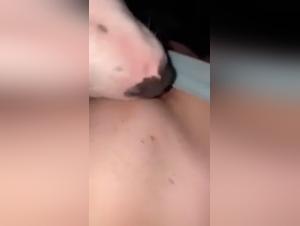 Watch this intense dog sex scene