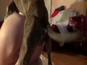 Bestiality sex video with dog