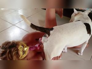 Slut Dog Fucks her owner