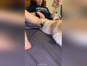 Masturbation with a dog