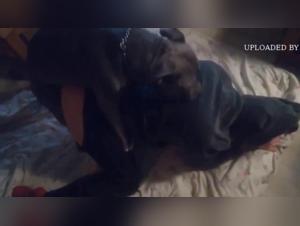 Watch this Woman and Her Four-Legged Best Friend in an Intimate Moment