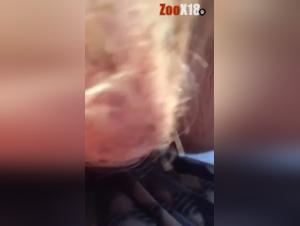 The best scenes of bestiality and extreme sex