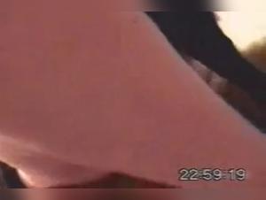 A Bestial and Zoophilic Experience Not to Be Missed