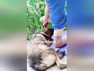 Guilt and animal enjoyment: Disturbing homemade vision