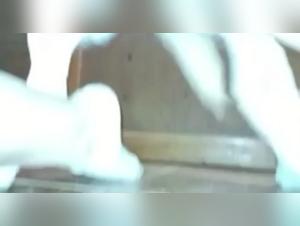 Dog Sex Video: An Extreme Experience