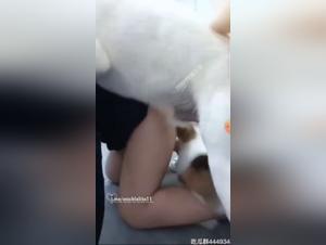 Bestiality sex video: a woman and her husband engage in extreme zoophilic practices