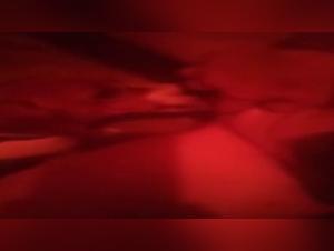 Check out an extreme sex scene with a dog