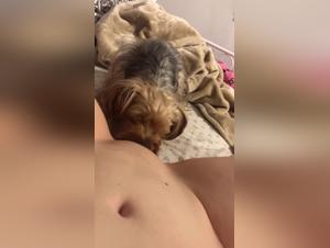 Trembling lips, bestial instinct: torrid licks and animal impulses