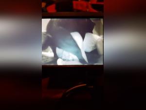 Dog Sex Videos: Watch this woman get fucked by her dog