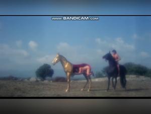 Zoophilie-Video mit einer Frau und einem Pferd