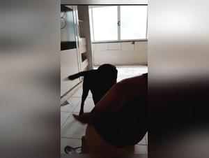 Seine Dominanz, sein Verlangen: Brasilianischer Hardcore-Tierfick