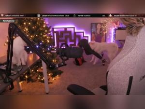 Exploring the Extreme Side of Bestiality