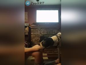 impulsi sepolti, sottomissione canina