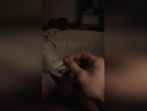 zoofilia videos beast taboo