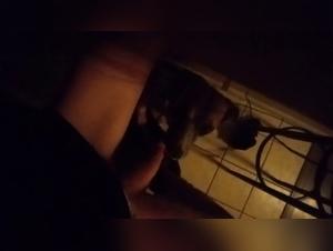 Caresses and Licks - Extreme Video