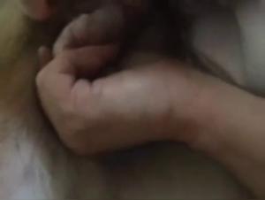 Hard and extreme sex scene with dog