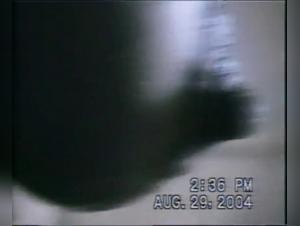 Zoophilia video: an extreme experience