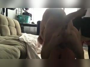 Extreme dog sex videos