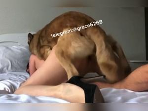 Esplora i bordi del tabu: zoophilia e nodo in azione