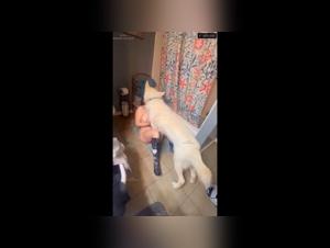 Fick mit Hund, verruckter Verlangen und totaler Einreichung