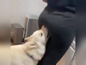 Exploration of deepest desires