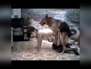 Dominazione degli animali: il potere spietato del cane sulle donne