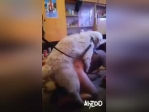 Bacio selvaggio, cagna scatenata, esperienza di accoppiamento crudo