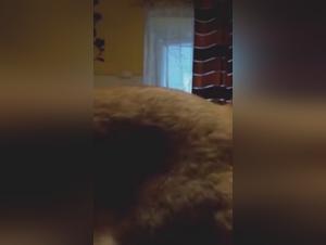 Canine Domination: Milly's Sexual Hell