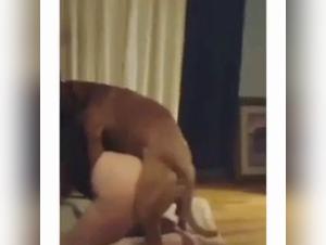 Esperienza bestiale ed irresistibile